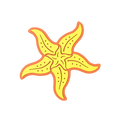 Budz | Starfish